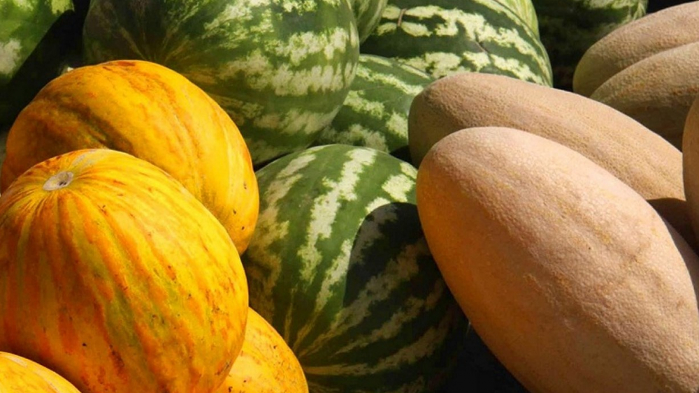 В Тамбове определили 14 бахчевых развалов, где можно купить арбузы и дыни