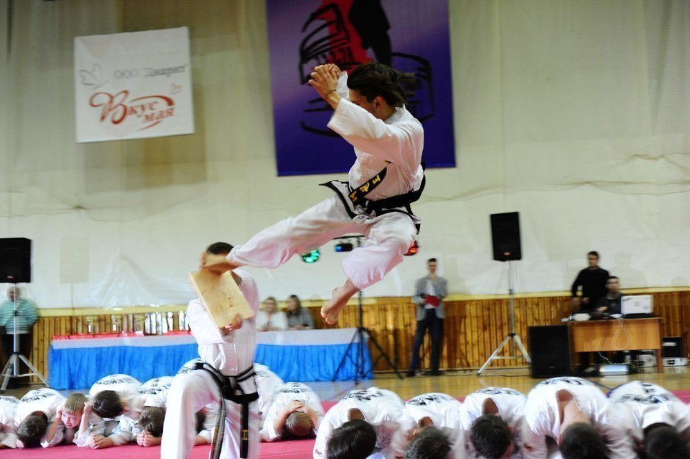 В Тамбове состоялся традиционный городской фестиваль боевых искусств