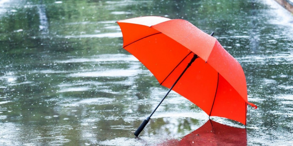 Погода в Тамбове: дождливая пятница и тёплые выходные