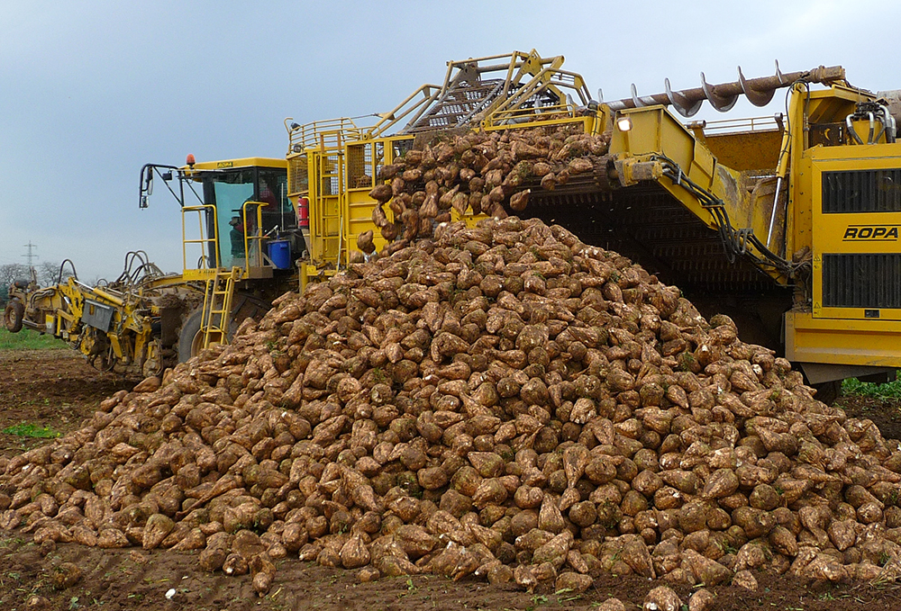 3 миллиона тонн зерна и 3,5 миллиона тонн сахарной свеклы собрали с полей Тамбовщины