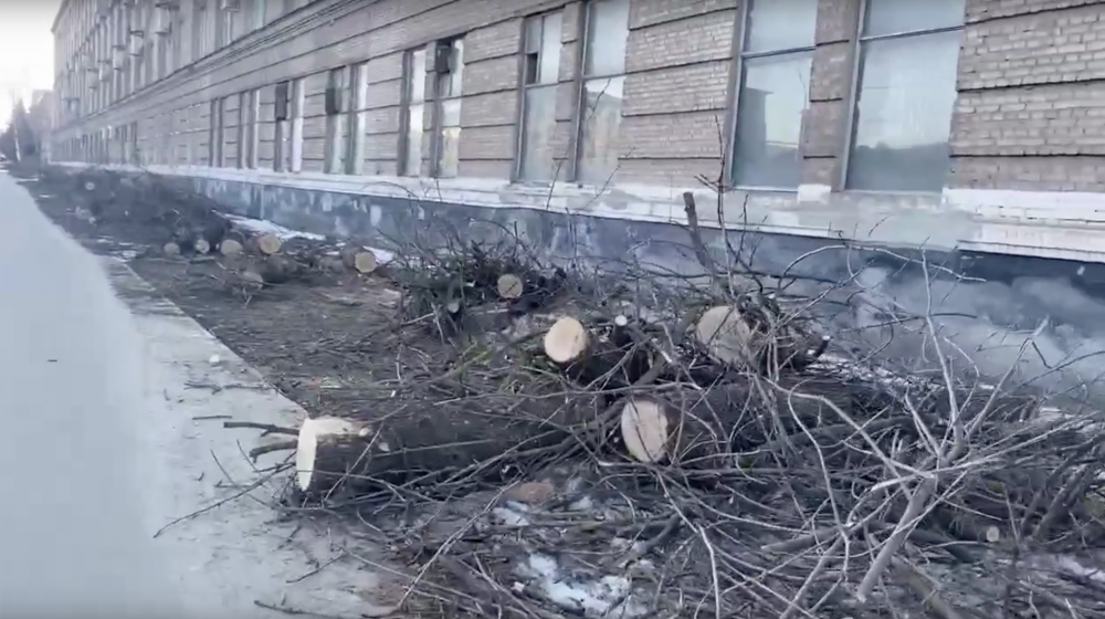 На Моршанском шоссе в Тамбове спилили все деревья