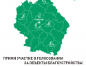 В Тамбовской области подвели итоги голосования за благоустройство территорий