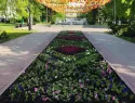 Ко Дню Победы Тамбов украсят 3,5 миллиона цветов