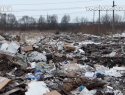 Под Тамбовом вновь заработала нелегальная свалка 