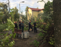 В Котовске до сих пор не убраны поваленные ураганом деревья 