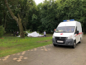 Виновница получила 3 года условно за дерево, убившее в Асеевском женщину 