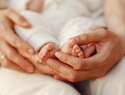 В ноябре в Тамбовской области новорожденных чаще всего называли Михаилом и Софией
