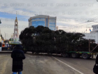 В Тамбов привезли 17-метровую ёлку из Моршанского района