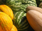 В Тамбове определили 14 бахчевых развалов, где можно купить арбузы и дыни