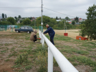 На Ласковском пляже в Тамбове установили 186 метров ограждения