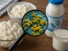 В тамбовские детсады снова попала небезопасная молочная продукция