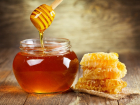 Массовая гибель пчёл не станет причиной ухудшения качества тамбовского мёда