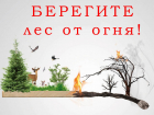 В Тамбовской области ограничено посещение лесов до 1 октября