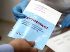 В регионе возбуждено 18 уголовных дел по фактам выдачи “липовых” сертификатов о вакцинации