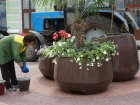 Тамбовчане: цветы на тамбовском Арбате не решают проблем города