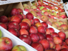 Мичуринские яблоки вошли в 10-ку лидеров конкурса “Вкусы России”