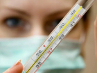 В Тамбовской области за неделю зарегистрировано 88 случаев «свиного гриппа»