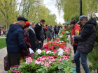 Тамбовский парк культуры на три дня расцветёт ярмаркой садовой флоры