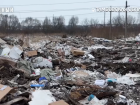 Под Тамбовом вновь заработала нелегальная свалка 