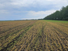 Аграрии Тамбовской области получили максимальные выплаты за уничтоженный заморозками урожай