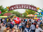 Покукарекаем? Редкие породы кур и необычные угощения из яиц ждут отважных гостей «Кукарекино»