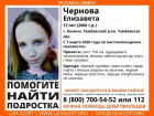 В Тамбовской области пропала девочка-подросток