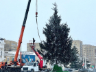 Моршанская ель вновь украсила главную площадь Тамбова к Новому году