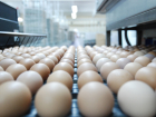 Тамбовских производителей упрекнули за некачественные яйца
