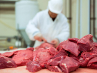 В Кирсановском районе нашли фантомную площадку по производству мяса