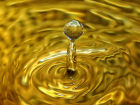 История тамбовского мэра: Как превратить воду в золото?