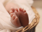 19 ноября в Тамбове родился трёхтысячный ребёнок