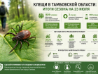 С начала сезона клещи покусали почти две тысячи жителей Тамбовской области
