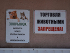 Контроль за торговлей животными в Тамбове ужесточат