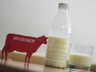 В регионе две тонны фальсифицированной «молочки» поставили в социальные учреждения