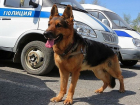 Убийство по «горячим» следам раскрыли кирсановские следователи и служебная собака 
