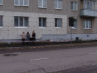 Жители дома на Мичуринской выступают против «зебры» под их окнами 