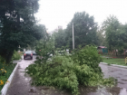 МЧС предупреждает о возможности урагана в Тамбовской области 