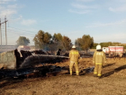 На ферме под Тамбовом сгорело более десятка животных