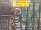 В Тамбове закрылся единственный зоопарк