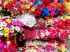 Рассказовские продавцы искусственных цветов… челом бьют