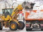 Больше ста деревьев повалил снегопад в Мичуринске 