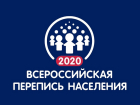 Рисунок тамбовчанки участвует в конкурсе на создание талисмана переписи-2020