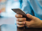 Тамбовские предприниматели смогут искать себе сотрудников через мобильное приложение