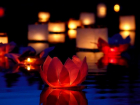 Сотни водных фонариков, наполненных сокровенными желаниями, проплывут по Цне