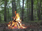 Любителей жарить шашлык в тамбовском лесу ждет штраф: в области объявлен особый противопожарный режим 