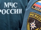 Тамбовских спасателей поздравили первые лица области 