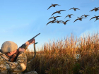 В Тамбовской области оштрафовали более полусотни охотников