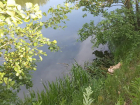 В реке Лесной Воронеж утонул 64-летний липчанин