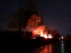 В Тамбовском районе сгорела пилорама