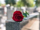 В Тамбове оцифровали все могилы на Воздвиженском кладбище